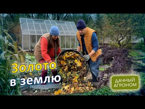 Видео: БЕСПЛАТНО Превращаем опавшие листья в удобрение