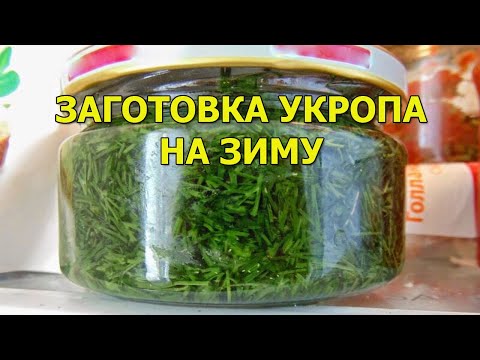 Видео: Как правильно заготовить укроп на зиму