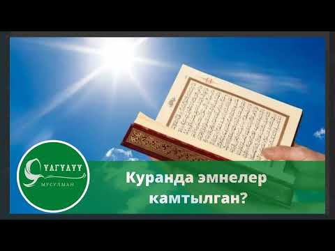 Видео: Куран деген эмне? Курандын ичинде эмнелер жазылган? Курвн китеби жонундо тушунук.