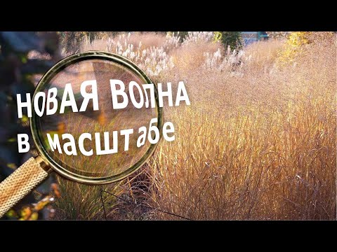 Видео: Новая волна в масштабе