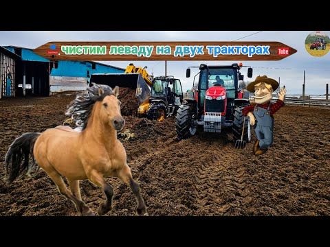 Видео: ЧИСТИМ ЛЕВАДУ, MASSEY FERGUSON 6713 И JCB 531.70