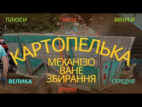 Видео: втратив урожай через картопляний комбайн