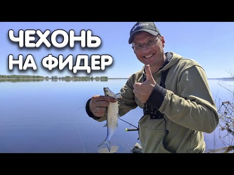 Видео: Рыбалка на фидер. Дядя Фёдор ловит днепровскую чехонь!