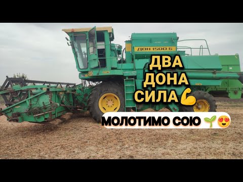 Видео: молотимо сою 🌱😍 двома донами 💪👍