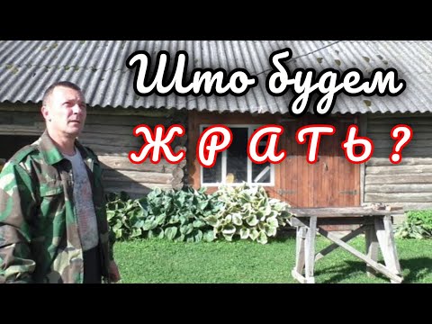 Видео: В Деревне Беларуси, Забиваем закрома, За грибами...