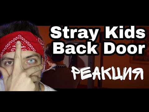 Видео: Stray Kids "Back Door" M/V РЕАКЦИЯ ! Russian guy reaction/ TubePunk смотрит straykids  обзор
