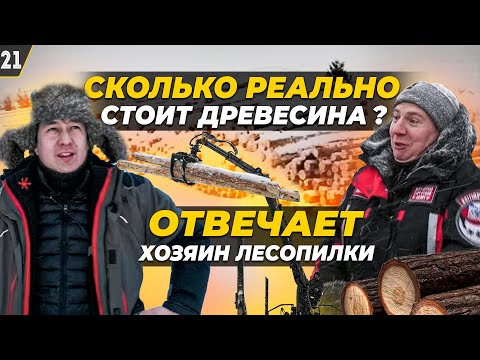 Видео: Лесопилка как бизнес / Почему дорожает древесина? / Часть 2