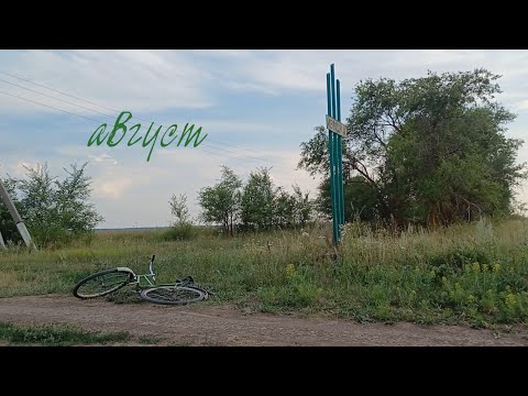 Видео: ПЕРВАЯ ПОЛОВИНА АВГУСТА. велосипеды, собаки и всего понемногу 