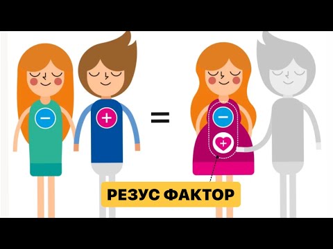Видео: Резус фактор