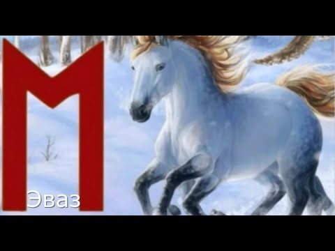 Видео: Руна Эваз(ᛖ)