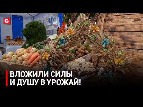 Видео: «Дожинки» с размахом! В Лельчицах чествуют лучших аграриев