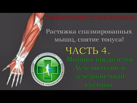 Видео: Растяжка мышц предплечья, снятие спастики, тренировка подъема кисти и поворотов ладони.