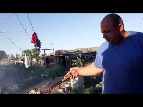 Видео: 1 июля 2022 г.Жизнь простых людей,собрали немного клубники , приехал внук. Как без шашлыков обзор .