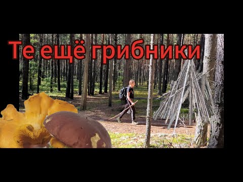 Видео: Грибы. Шалаш. Пикник на обочине. И почему женщины живут дольше мужчин