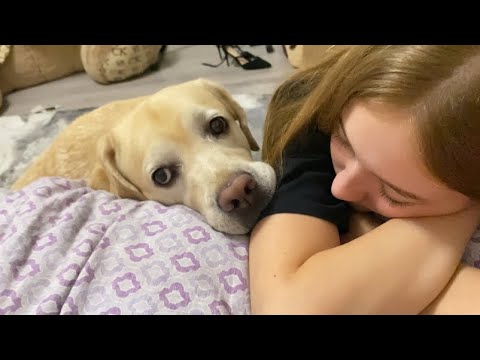 Видео: Вечерние игры