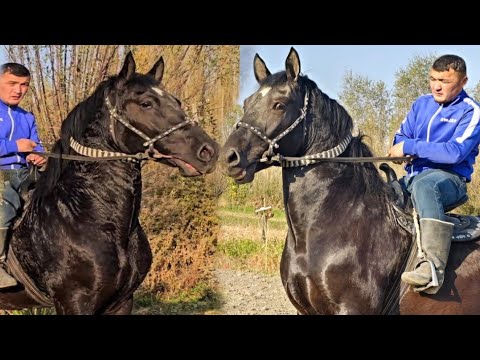 Видео: Пай Пай Паай Тайланд✊️
