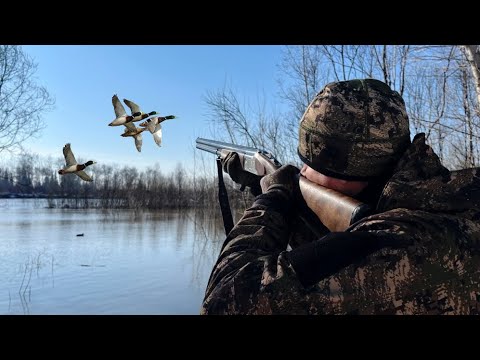 Видео: Садились на Голову. Дрались между собой. Охота на Селезня с подсадной!!!