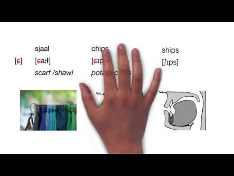 Видео: Произношение на голландском языке, Видео 1: Фонетика и орфография на голландском языке (версия 20...