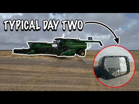 Видео: Классический старт сбора урожая | Урожай 2025 | Западная Австралия