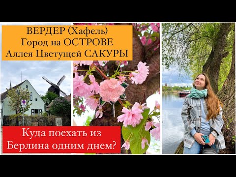 Видео: WERDER (Havel). ВЕРДЕР. Цветущая САКУРА. Город На ОСТРОВЕ. Куда Поехать Из БЕРЛИНА ОДНИМ ДНЕМ?