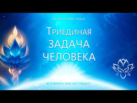 Видео: Триединая Задача Человека