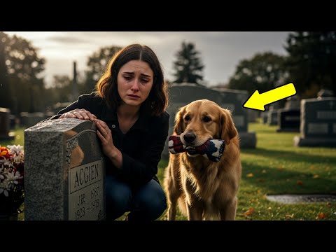 Видео: Она плакала на кладбище... Но вдруг к ней подошла собака с необычным свёртком в зубах