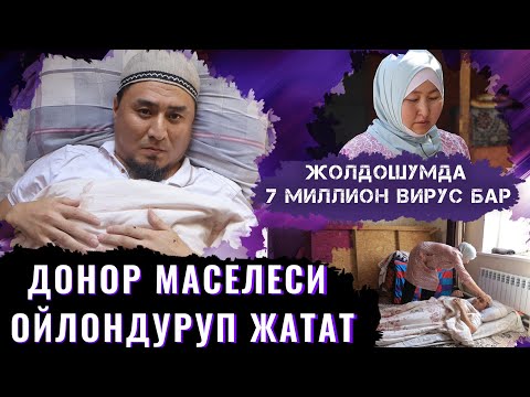 Видео: Жолдошумду баламдай эле багып жатам