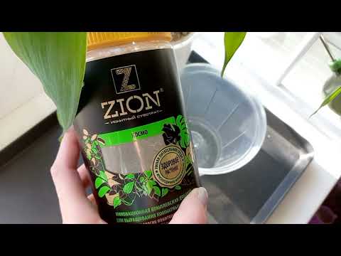 Видео: 347. Цветы: Субботние пересадки. 