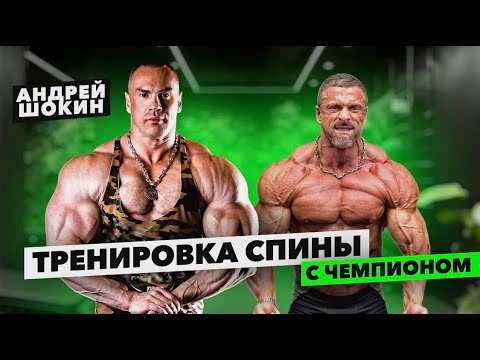 Видео: Тренировка спины с чемпионом. Андрей Шокин.