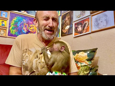 Видео: ГАМАДРИЛЬИ СТРАСТИ! Степа и Тося не отходят друг от друга, а Манечка сильно обижается на них!