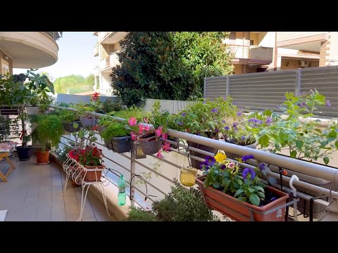 Видео: Есен на балкона, на кафе при моите 63 саксии