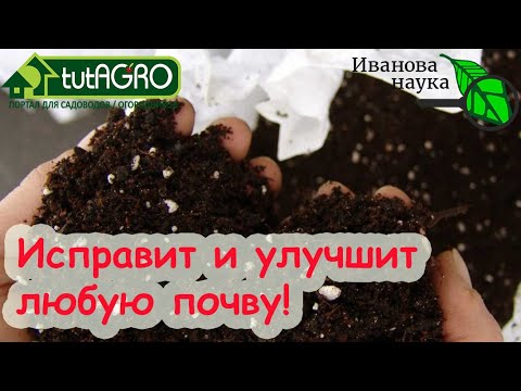 Видео: БЕЗ ПРЕПАРАТОВ И ПОКУПОК: улучшить грунт для рассады - проще простого! ЭТО СРЕДСТВО есть на кухне!