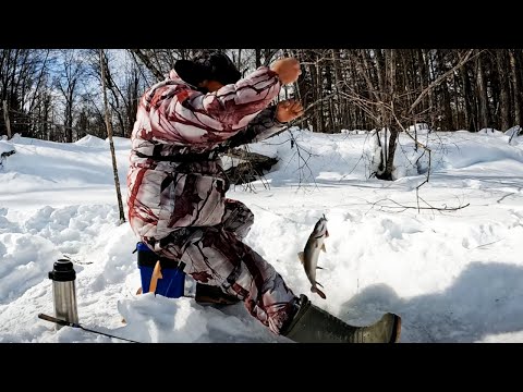 Видео: ГОРНАЯ РЫБАЛКА ЗИМОЙ. Ленки озверели клюют как бешеные. Зимняя рыбалка на Амуре.