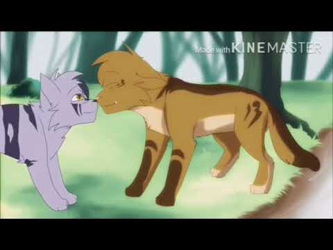 Видео: Коты Воители-и только ты и только я