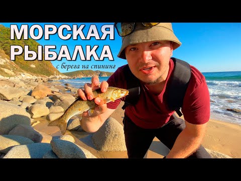 Видео: РОКФИШИНГ ВПЕРВЫЕ. Морская рыбалка с берега на спининнг