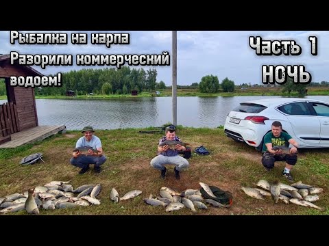 Видео: Рыбалка.Ловим карпа.Разорили коммерческий водоем!Часть 1 НОЧЬ.