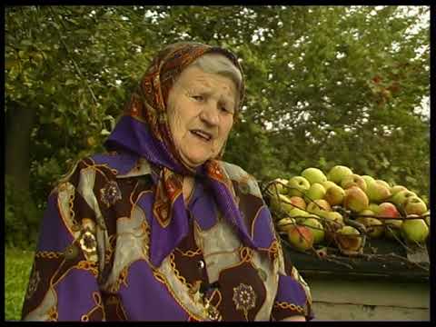 Видео: История длиною в жизнь. Ольга Давыдовна Вологина из Поречья.