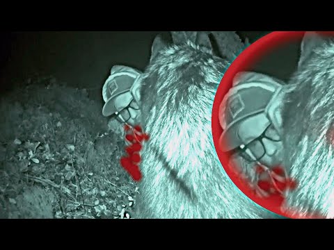 Видео: ОН НАПАЛ НА НЕГО В ЛЕСУ