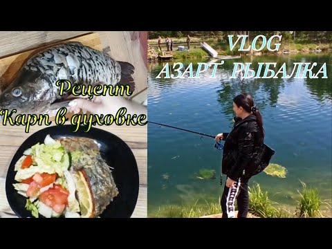 Видео: Vlog/Азарт/Рыбалка/Ловим Форель и Карпа/ Рецепт Карпа в духовке 👨‍🍳