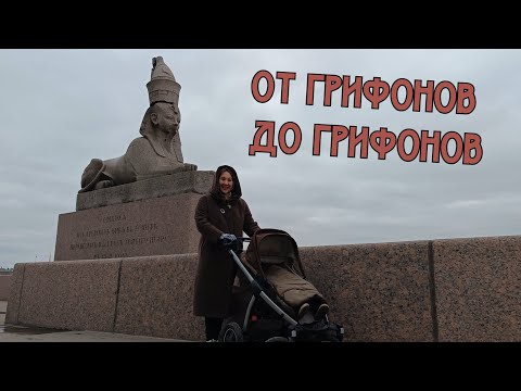 Видео: Петербург с Лизой. Пятая прогулка. Васильевский остров. От грифонов до грифонов.