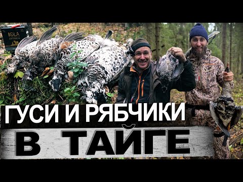 Видео: Гуси и рябчики выходные в тайге у Лехи чемпиона.