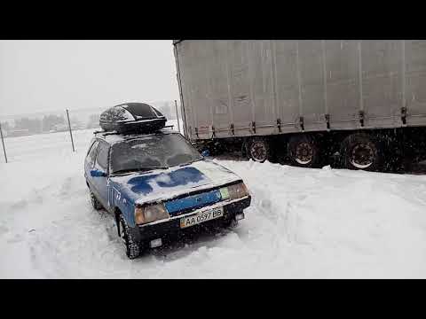 Видео: Таврюша не перестаёт удивлять!😍