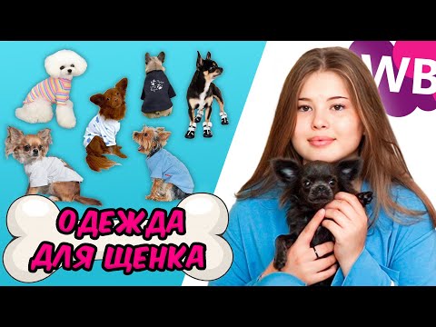 Видео: WILDBERRIES. РАСПАКОВКА для ЩЕНКА 🐶