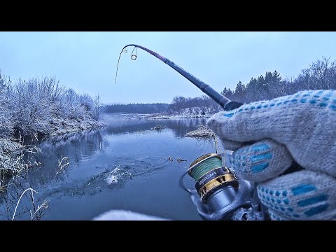 Видео: СНЕГ ИДЁТ И РЫБА КЛЮЁТ! СКАЗОЧНАЯ РЫБАЛКА В ДЕБРЯХ! Ловля рыбы на спиннинг и мормышку 2024.