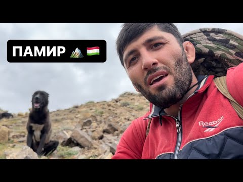 Видео: РИЗВАН ММА. Пастух. ГОРЫ-ПРИРОДА. ПАМИР 🏔️🇹🇯