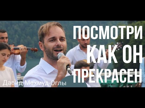 Видео: Посмотри как он прекрасен!//Давид Махмуд-Оглы//Ансамбль "Небесный Луч"