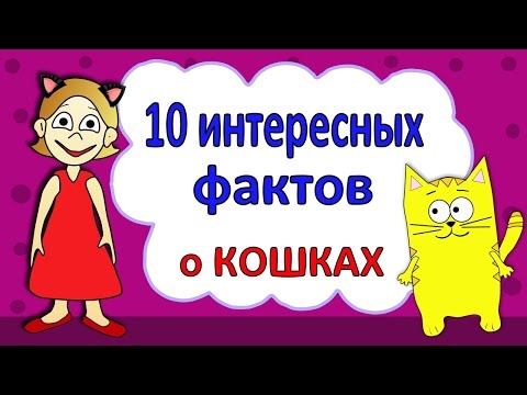 Видео: Интересные факты о кошках / Бабушка Шошо