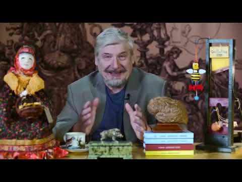 Видео: Капитализация мозгов