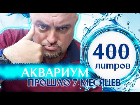 Видео: Аквариум 400 литров. Прошло 7 месцев.