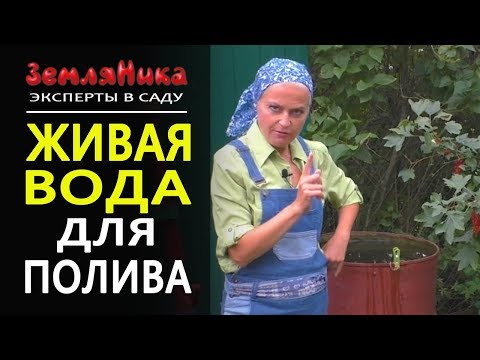 Видео: Полив. 3 способа как сделать живую воду. Подкормка растений. 0+